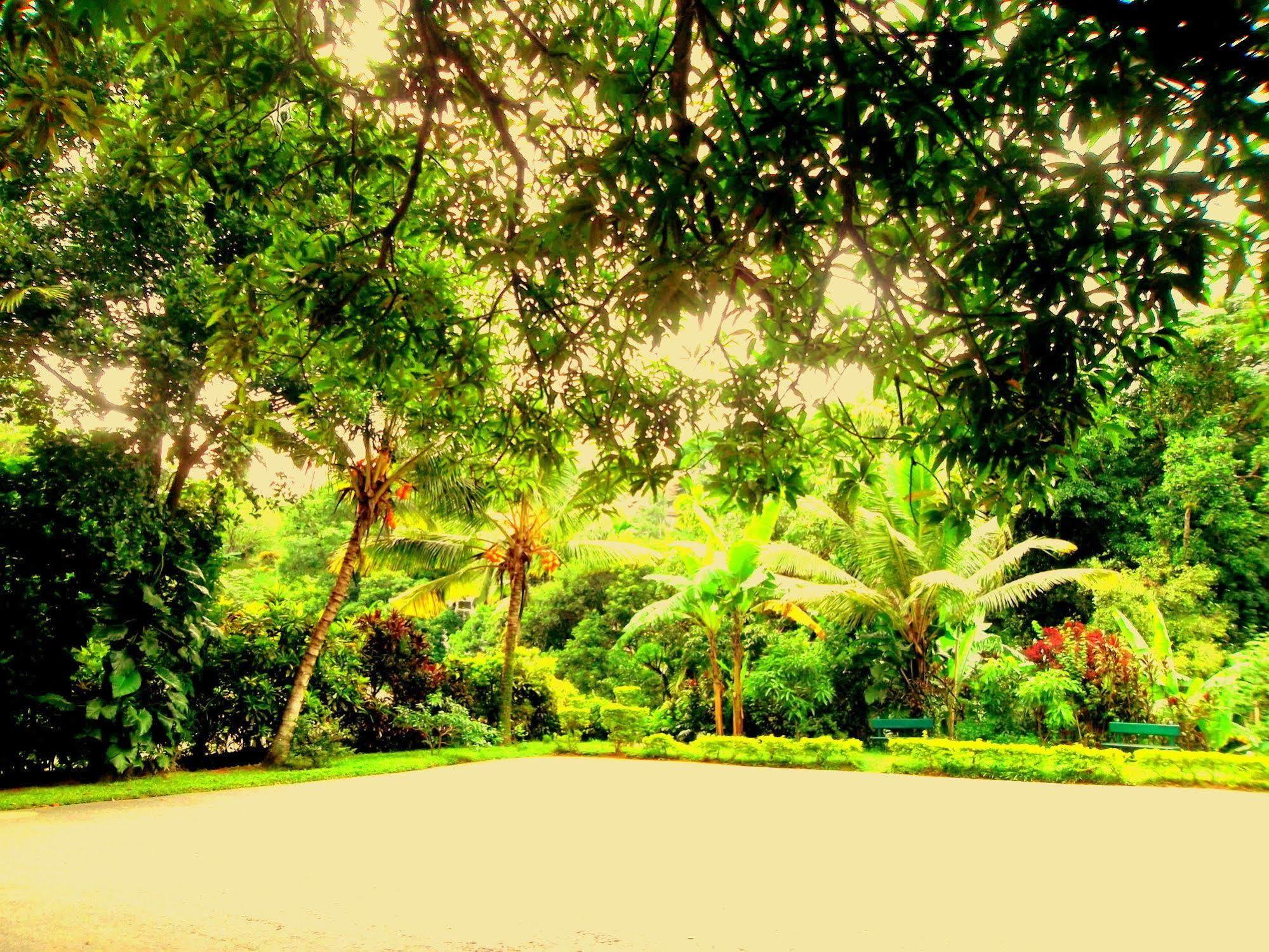 Oyo 433 Paradise Resort Kandy Exterior foto